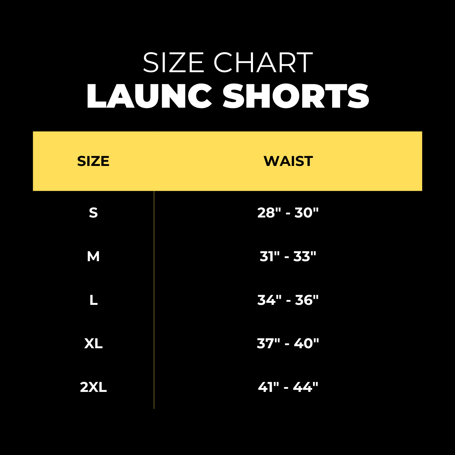 UA World Cup Official Shorts